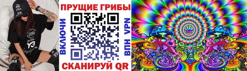 купить наркотик  Барабинск  Псилоцибиновые грибы прущие грибы 